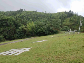 水库坡面除杂清障后